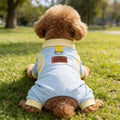 Personalized Leather Patch Name Breathable Summer Pet Jumpsuit  | inCloth64