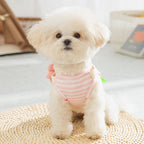 Personalized Name Pet Denim Overalls Dress  | inCloth49