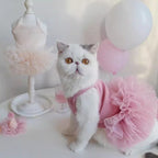 Personalized Name Pet Fluffy Tutu Dress | inCloth40