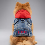 Personalized Name Denim Pet Hoodie Jacket | inCloth60