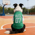 Personalized Breathable Pet Shirt with Name & Number | inCloth62