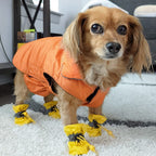 Pet Oxford Soft-Soled Puppy Boots