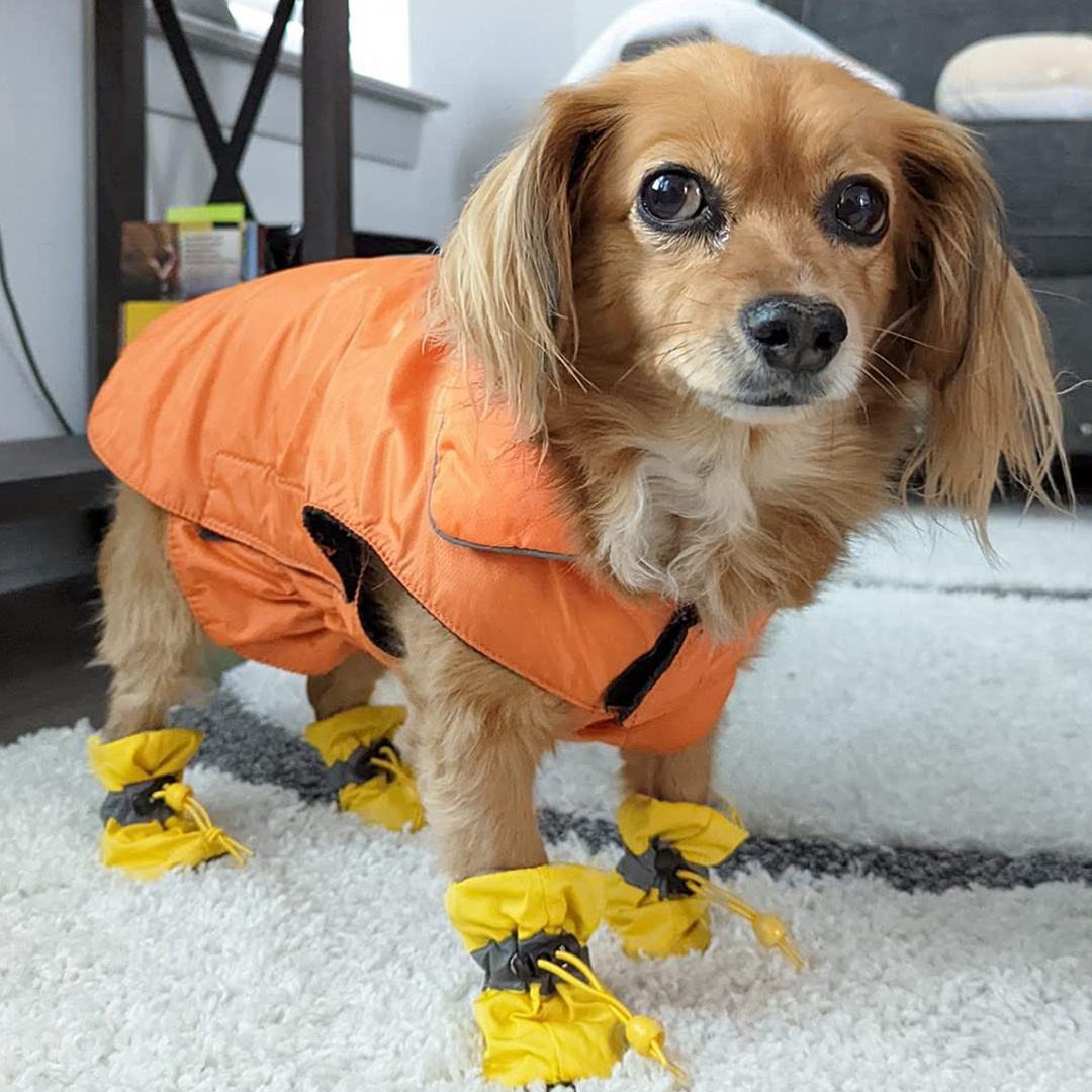 Pet Oxford Soft-Soled Puppy Boots
