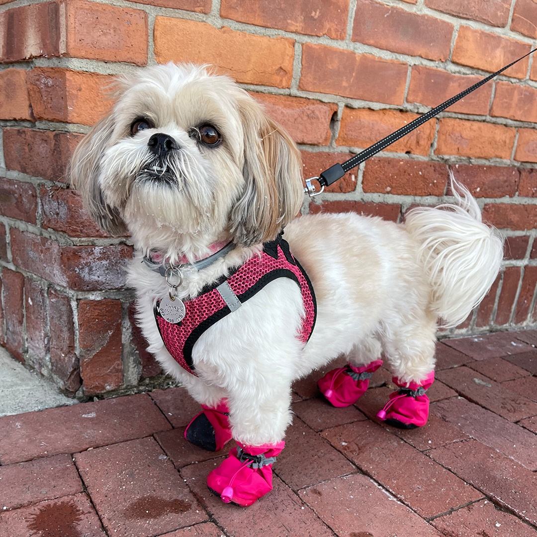 Pet Oxford Soft-Soled Puppy Boots
