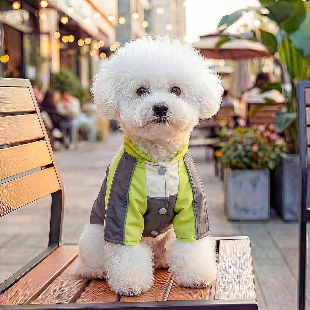 Personalized Name Pet Waterproof Jacket | inCloth54