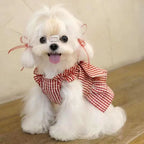 Personalized Pet Valentine's Day Dress | inCloth02